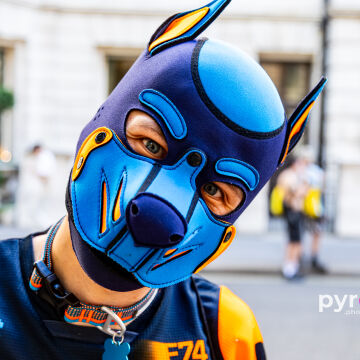 PupOut_Pride-482.jpg